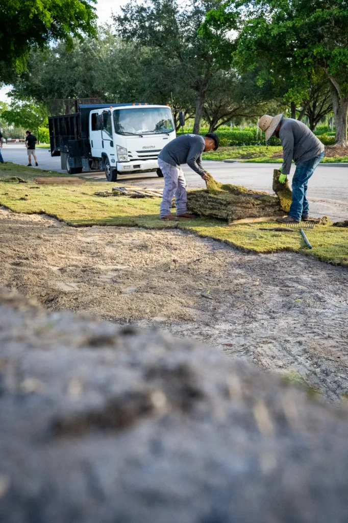 Cypress sod installation